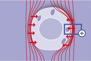 2. Darstellung des elektrischen Feldes an der Zellmembran einer malignen Zelle. Hier ist bereits angedeutet, dass das elektrische Feld eine Wirkung auf die biochemischen Prozesse der Zellmembran hat.